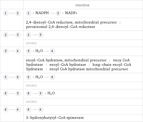  | reaction  ⟶ | + NADPH ⟶ + NADP+  | 2, 4-dienoyl-CoA reductase, mitochondrial precursor | peroxisomal 2, 4-dienoyl-CoA reductase  ⟶ | ⟶   | (none)  ⟶ | + H_2O ⟶   | enoyl-CoA hydratase, mitochondrial precursor | enoy CoA hydratase | enoyl-CoA hydratase | long-chain enoyl-CoA hydratase | enoyl CoA hydratase mitochondrial precursor  ⟶ | + H_2O ⟶   | (none)  ⟶ | ⟶ + H_2O  | (none)  ⟶ | ⟶   | 3-hydroxybutyryl-CoA epimerase