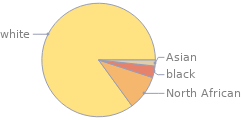 Cultural properties Ethnic mix