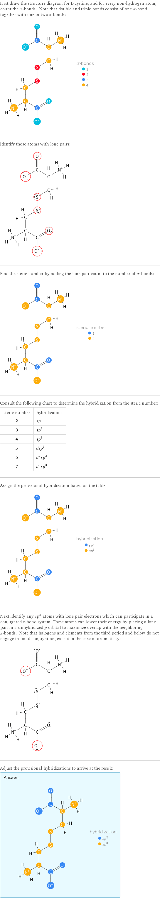 First draw the structure diagram for L-cystine, and for every non-hydrogen atom, count the σ-bonds. Note that double and triple bonds consist of one σ-bond together with one or two π-bonds:  Identify those atoms with lone pairs:  Find the steric number by adding the lone pair count to the number of σ-bonds:  Consult the following chart to determine the hybridization from the steric number: steric number | hybridization 2 | sp 3 | sp^2 4 | sp^3 5 | dsp^3 6 | d^2sp^3 7 | d^3sp^3 Assign the provisional hybridization based on the table:  Next identify any sp^3 atoms with lone pair electrons which can participate in a conjugated π-bond system. These atoms can lower their energy by placing a lone pair in a unhybridized p orbital to maximize overlap with the neighboring π-bonds. Note that halogens and elements from the third period and below do not engage in bond conjugation, except in the case of aromaticity:  Adjust the provisional hybridizations to arrive at the result: Answer: |   | 