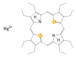 H-bond acceptors in place