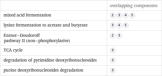  | overlapping components mixed acid fermentation |  lysine fermentation to acetate and butyrate |  Entner-Doudoroff pathway II (non-phosphorylative) |  TCA cycle |  degradation of pyrimidine deoxyribonucleosides |  purine deoxyribonucleosides degradation | 