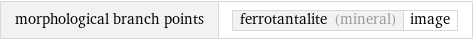 morphological branch points | ferrotantalite (mineral) | image
