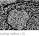  (using radius=2)