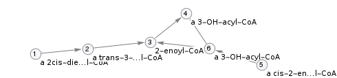 Pathway topology