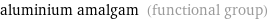 aluminium amalgam (functional group)