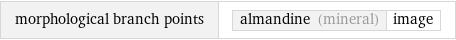 morphological branch points | almandine (mineral) | image