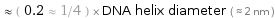  ≈ ( 0.2 ≈ 1/4 ) × DNA helix diameter ( ≈ 2 nm )