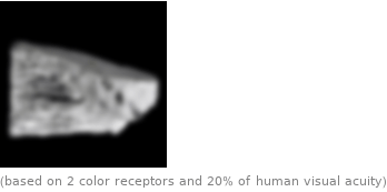  (based on 2 color receptors and 20% of human visual acuity)