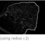  (using radius=2)