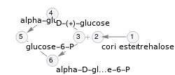 Pathway topology