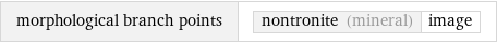 morphological branch points | nontronite (mineral) | image