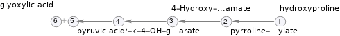 Pathway topology