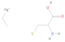 Structure diagram