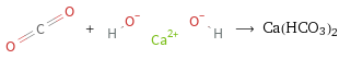  + ⟶ Ca(HCO3)2