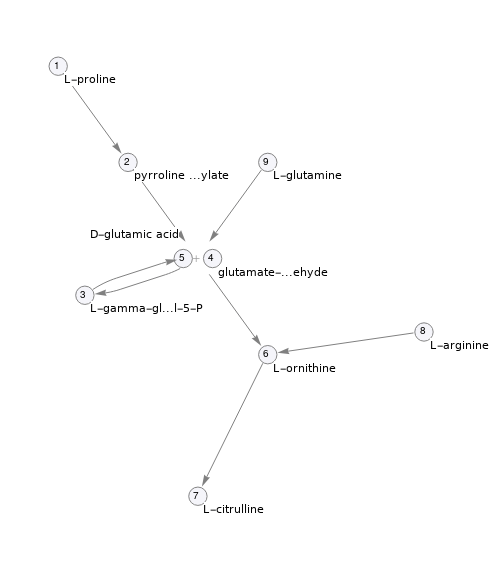 Pathway topology