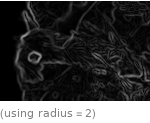  (using radius=2)