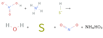  + ⟶ + + + NH4HO3