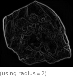  (using radius=2)