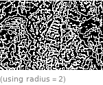  (using radius=2)