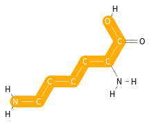 Longest straight chain in place