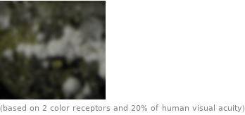  (based on 2 color receptors and 20% of human visual acuity)