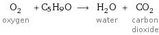 O_2 oxygen + C5H9O ⟶ H_2O water + CO_2 carbon dioxide