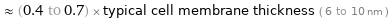  ≈ (0.4 to 0.7) × typical cell membrane thickness ( 6 to 10 nm )