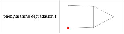 phenylalanine degradation I | 