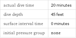 actual dive time | 20 minutes dive depth | 45 feet surface interval time | 0 minutes initial pressure group | none
