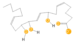 H-bond acceptors in place