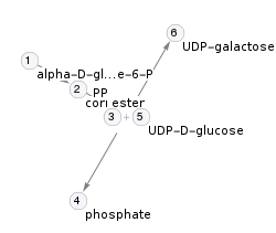 Pathway topology