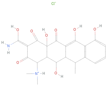 Structure diagram