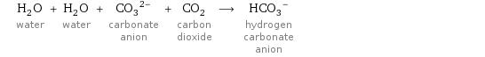 H_2O water + H_2O water + (CO_3)^(2-) carbonate anion + CO_2 carbon dioxide ⟶ (HCO_3)^- hydrogen carbonate anion