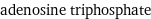 adenosine triphosphate