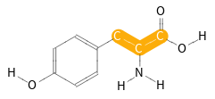 Longest aliphatic chain in place