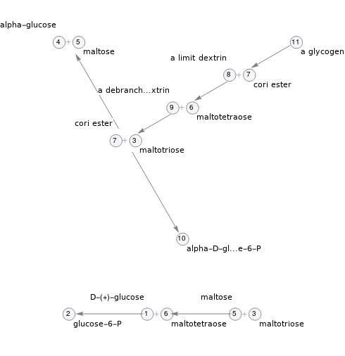 Pathway topology