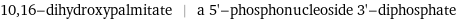 10, 16-dihydroxypalmitate | a 5'-phosphonucleoside 3'-diphosphate