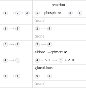  | reaction  ⟶ + | + phosphate ⟶ +   | (none)  ⟶ | ⟶   | (none)  ⟶ | ⟶   | aldose 1-epimerase  ⟶ | + ATP ⟶ + ADP  | glucokinase  ⟶ | ⟶   | (none)