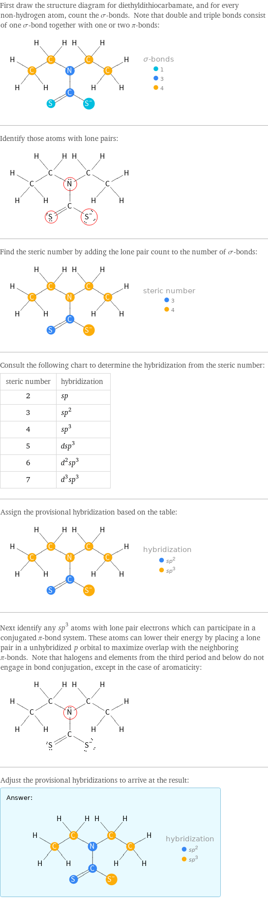 First draw the structure diagram for diethyldithiocarbamate, and for every non-hydrogen atom, count the σ-bonds. Note that double and triple bonds consist of one σ-bond together with one or two π-bonds:  Identify those atoms with lone pairs:  Find the steric number by adding the lone pair count to the number of σ-bonds:  Consult the following chart to determine the hybridization from the steric number: steric number | hybridization 2 | sp 3 | sp^2 4 | sp^3 5 | dsp^3 6 | d^2sp^3 7 | d^3sp^3 Assign the provisional hybridization based on the table:  Next identify any sp^3 atoms with lone pair electrons which can participate in a conjugated π-bond system. These atoms can lower their energy by placing a lone pair in a unhybridized p orbital to maximize overlap with the neighboring π-bonds. Note that halogens and elements from the third period and below do not engage in bond conjugation, except in the case of aromaticity:  Adjust the provisional hybridizations to arrive at the result: Answer: |   | 