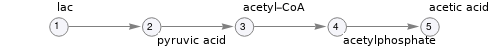 Pathway topology