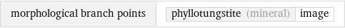 morphological branch points | phyllotungstite (mineral) | image