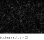  (using radius=2)