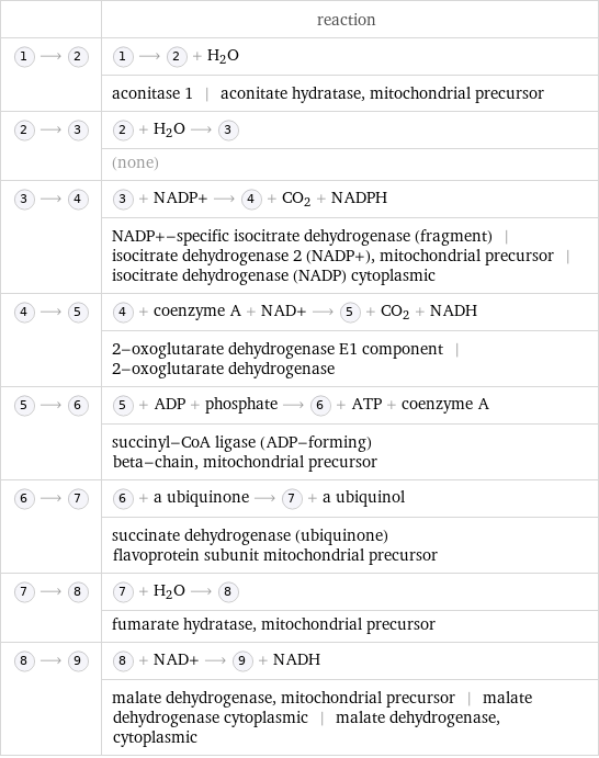  | reaction  ⟶ | ⟶ + H_2O  | aconitase 1 | aconitate hydratase, mitochondrial precursor  ⟶ | + H_2O ⟶   | (none)  ⟶ | + NADP+ ⟶ + CO_2 + NADPH  | NADP+-specific isocitrate dehydrogenase (fragment) | isocitrate dehydrogenase 2 (NADP+), mitochondrial precursor | isocitrate dehydrogenase (NADP) cytoplasmic  ⟶ | + coenzyme A + NAD+ ⟶ + CO_2 + NADH  | 2-oxoglutarate dehydrogenase E1 component | 2-oxoglutarate dehydrogenase  ⟶ | + ADP + phosphate ⟶ + ATP + coenzyme A  | succinyl-CoA ligase (ADP-forming) beta-chain, mitochondrial precursor  ⟶ | + a ubiquinone ⟶ + a ubiquinol  | succinate dehydrogenase (ubiquinone) flavoprotein subunit mitochondrial precursor  ⟶ | + H_2O ⟶   | fumarate hydratase, mitochondrial precursor  ⟶ | + NAD+ ⟶ + NADH  | malate dehydrogenase, mitochondrial precursor | malate dehydrogenase cytoplasmic | malate dehydrogenase, cytoplasmic