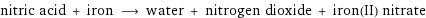 nitric acid + iron ⟶ water + nitrogen dioxide + iron(II) nitrate