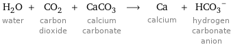 H_2O water + CO_2 carbon dioxide + CaCO_3 calcium carbonate ⟶ Ca calcium + (HCO_3)^- hydrogen carbonate anion