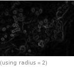  (using radius=2)