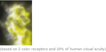  (based on 2 color receptors and 20% of human visual acuity)