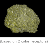  (based on 2 color receptors)