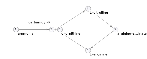 Pathway topology