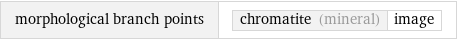 morphological branch points | chromatite (mineral) | image